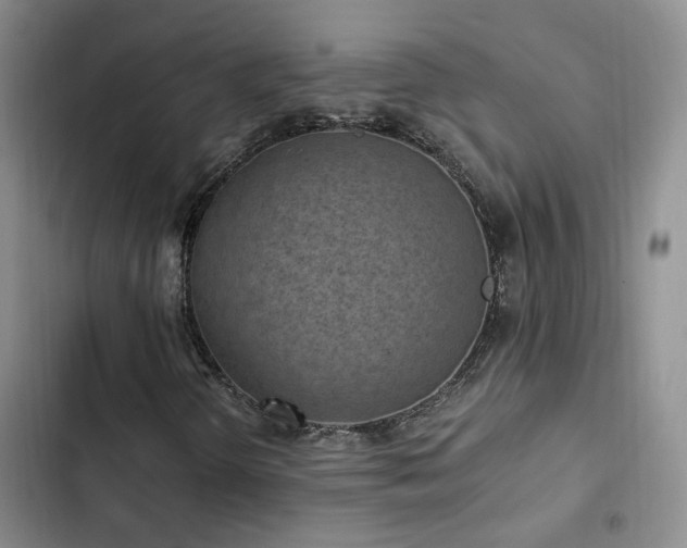 X0000103221298200808281357