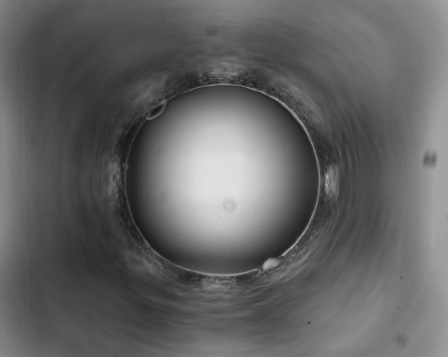 X0000103221299200808281357