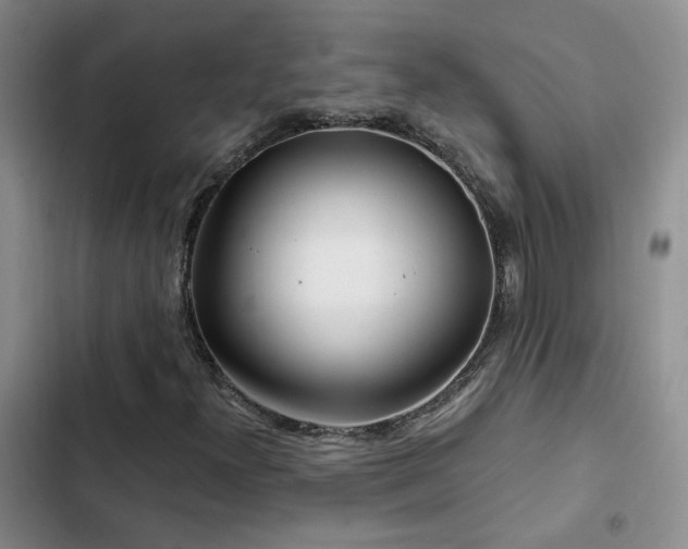 X0000103221300200808281357