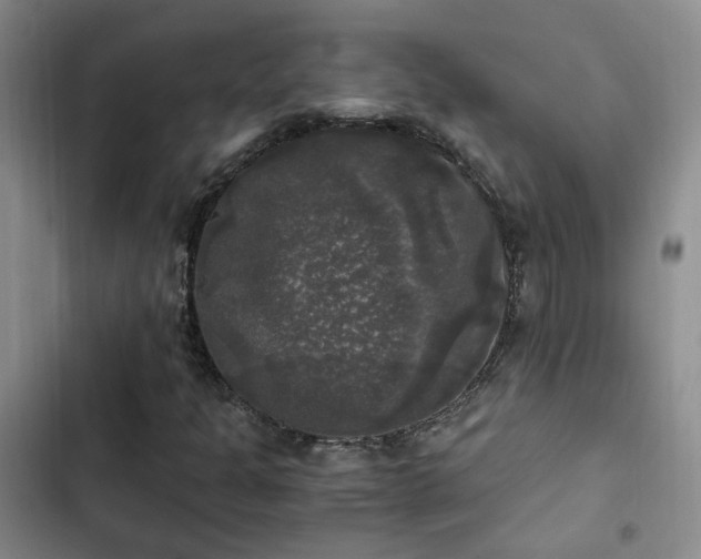 X0000103221301200808281357