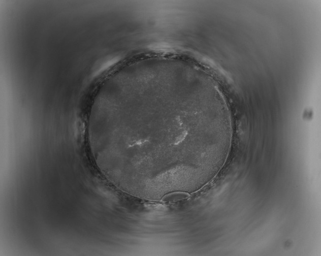 X0000103221302200808281357