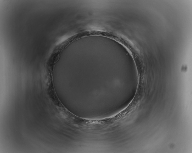 X0000103221303200808281357