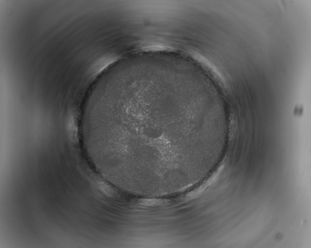 X0000103221305200808281357