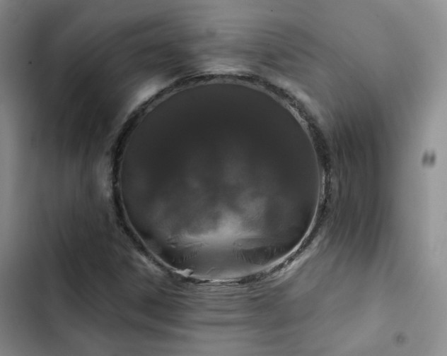 X0000103221306200808281357