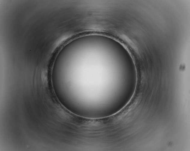 X0000103221307200808281357