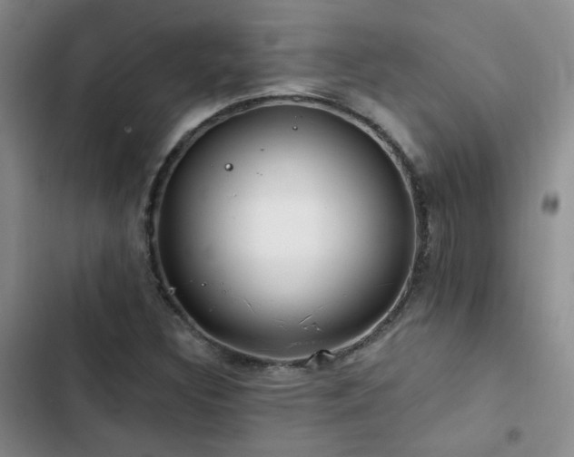 X0000103221308200808281358