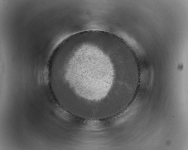 X0000103221310200808281358