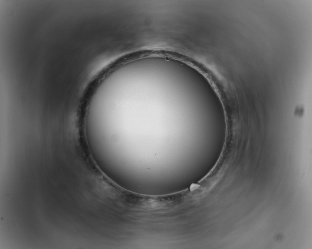 X0000103221311200808281358