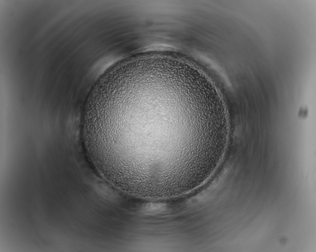 X0000103221313200808281358