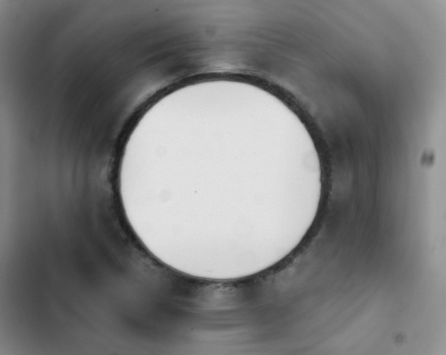 X0000103221314200808281358