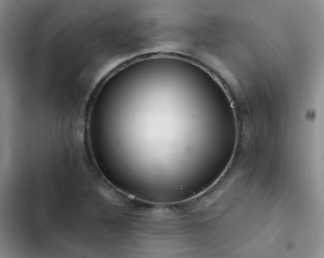 X0000103221316200808281358