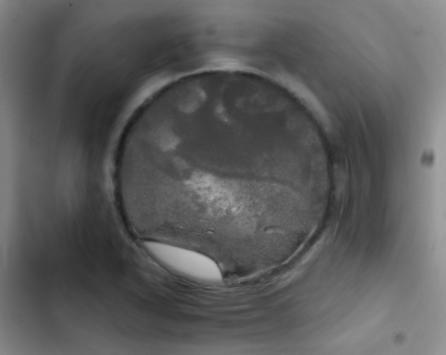 X0000103221318200808281358