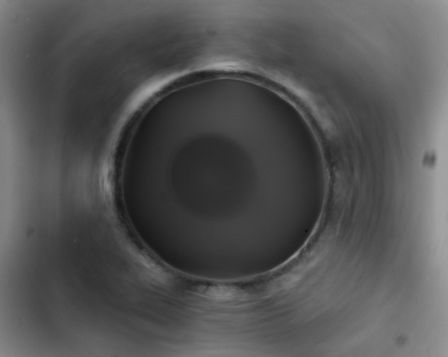 X0000103221319200808281358