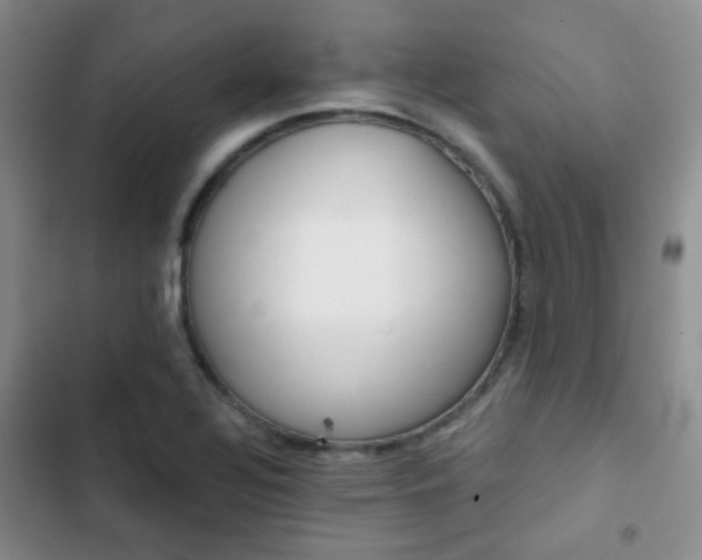X0000103221320200808281358