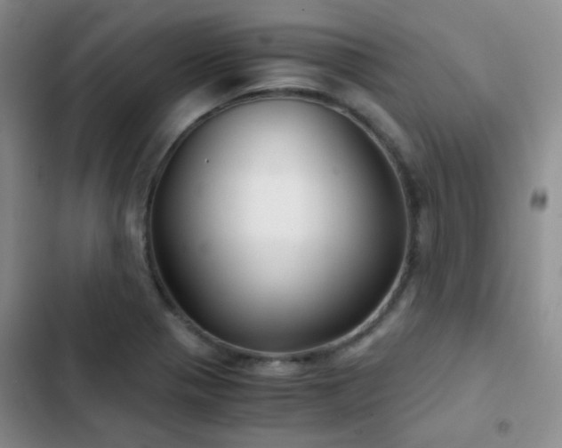 X0000103221321200808281358