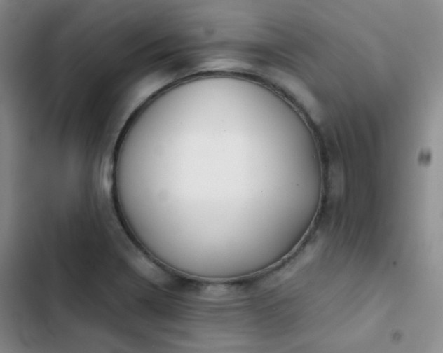 X0000103221322200808281358