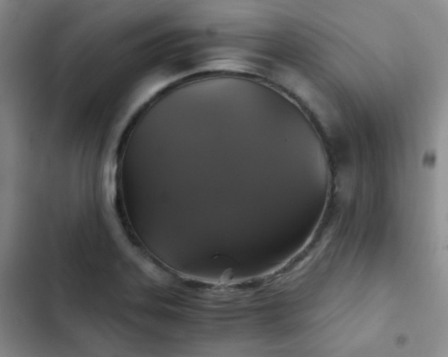 X0000103221323200808281358