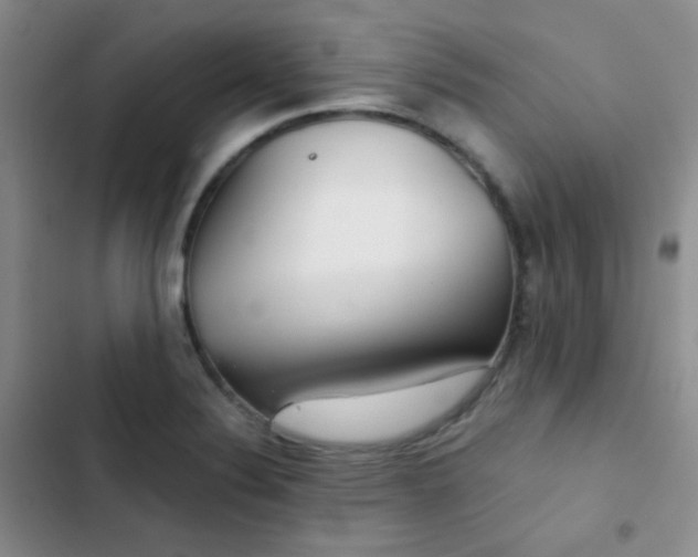 X0000103221324200808281358