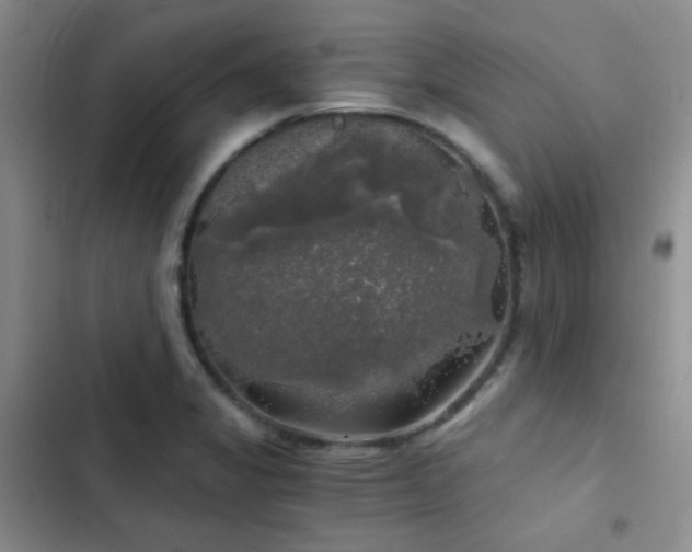 X0000103221325200808281358