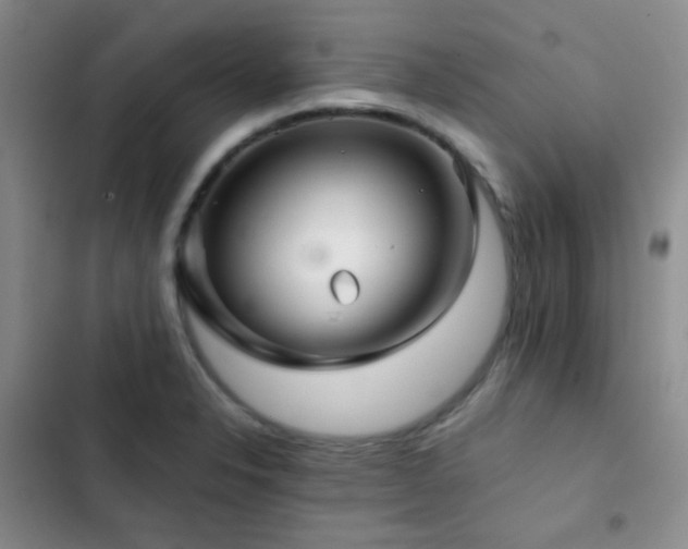 X0000103221326200808281358