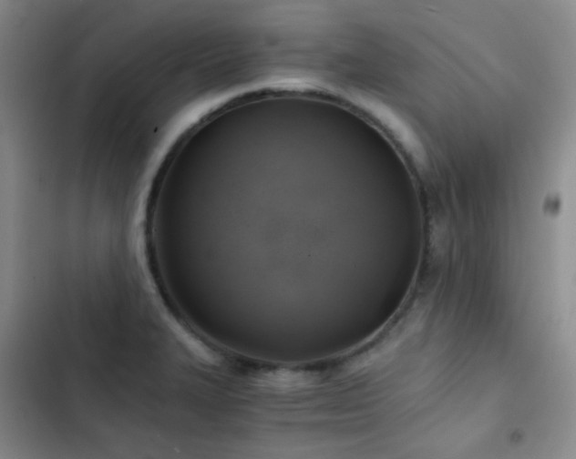 X0000103221327200808281358