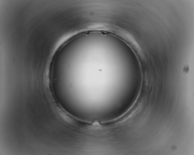 X0000103221328200808281358