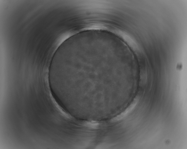 X0000103221329200808281358