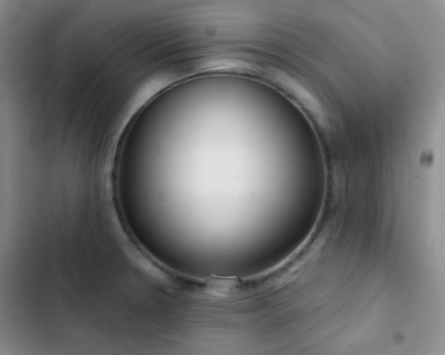 X0000103221330200808281358