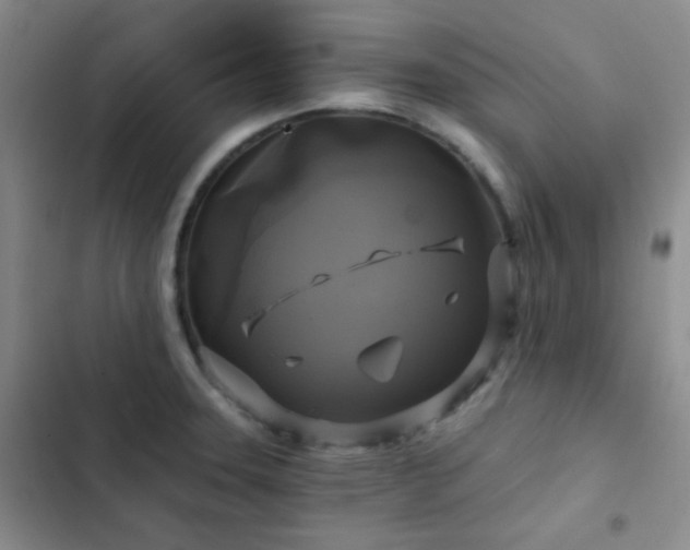 X0000103221331200808281358