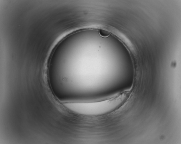 X0000103221332200808281358