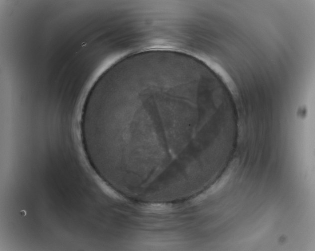 X0000103221333200808281358