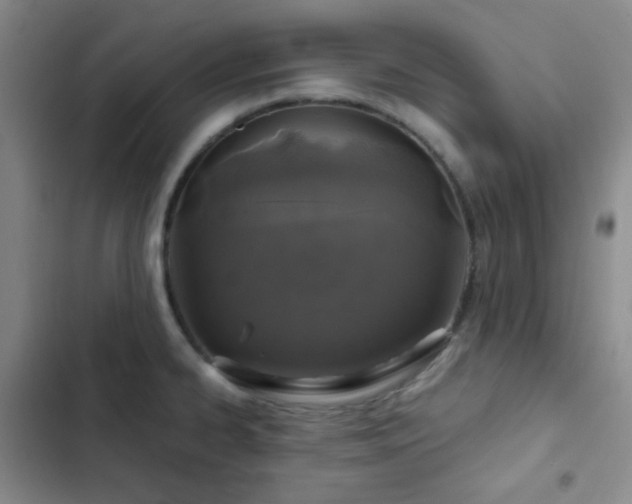 X0000103221334200808281358