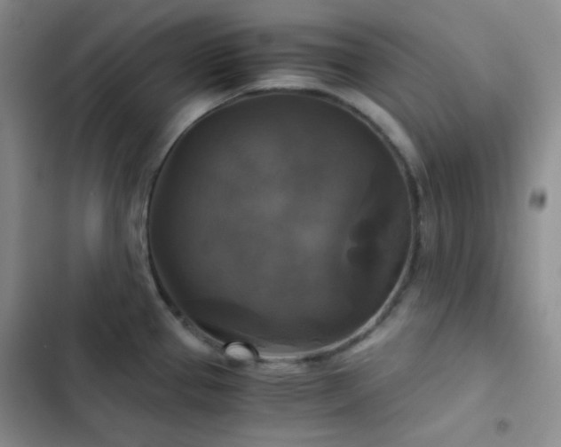 X0000103221337200808281358