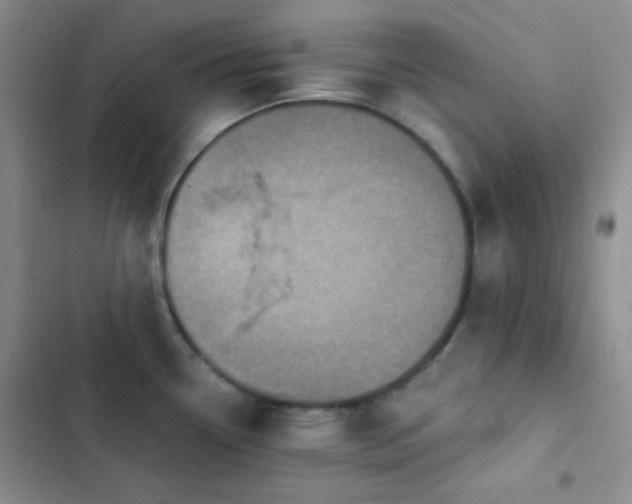 X0000103221338200808281358