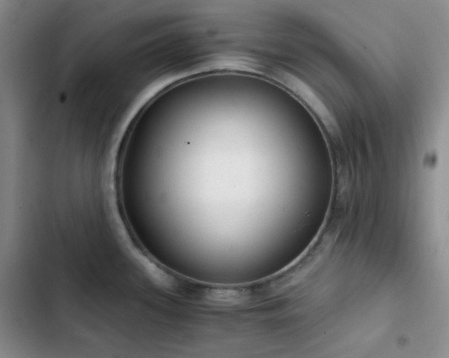 X0000103221339200808281358