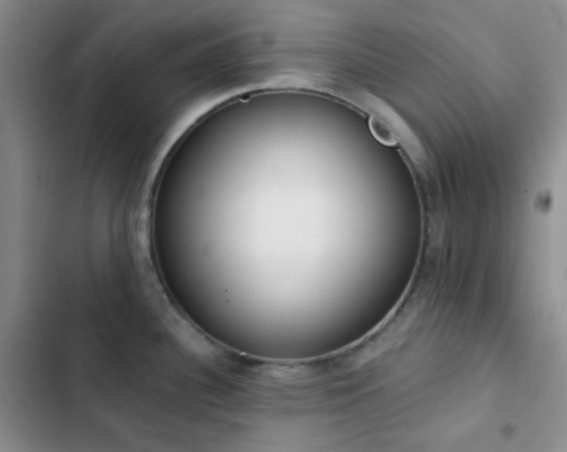 X0000103221340200808281358