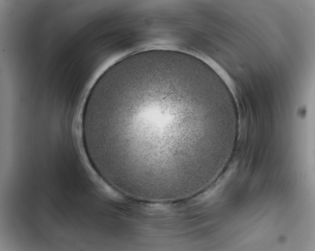 X0000103221341200808281358