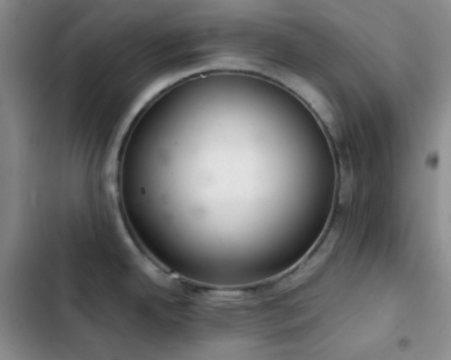X0000103221342200808281358