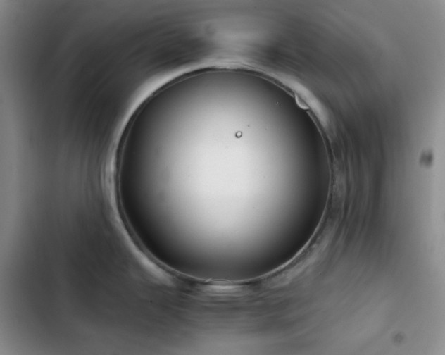 X0000103221343200808281358
