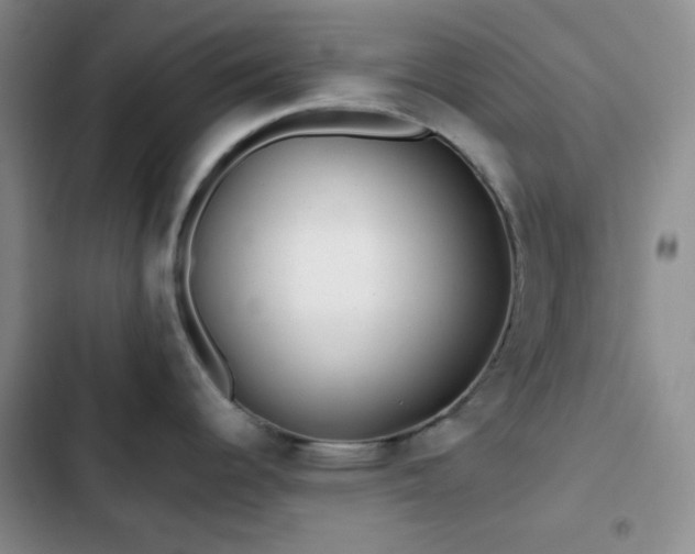 X0000103221344200808281358