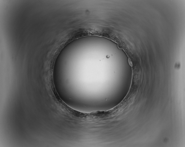 X0000103221345200808281357
