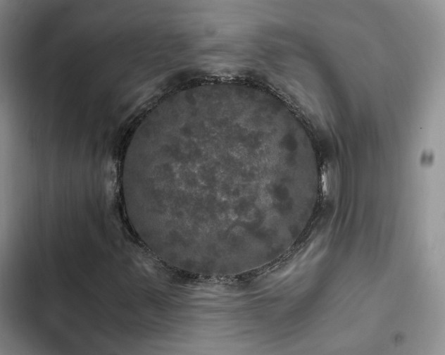X0000103221347200808281357