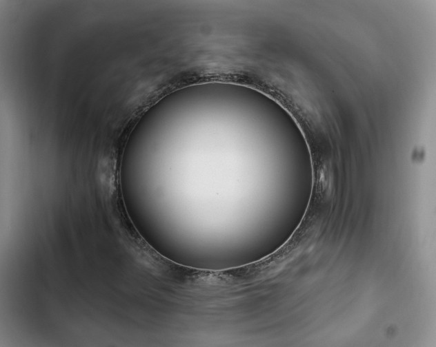 X0000103221348200808281357