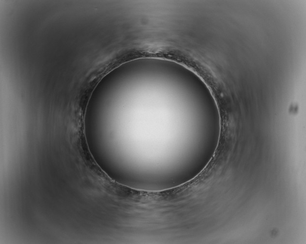 X0000103221349200808281357