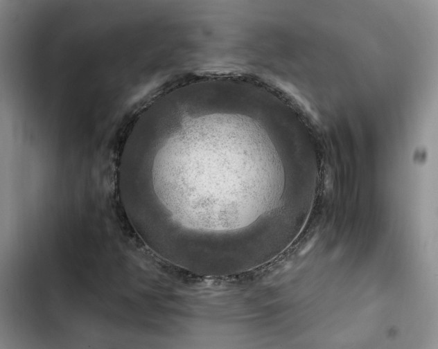 X0000103221350200808281357