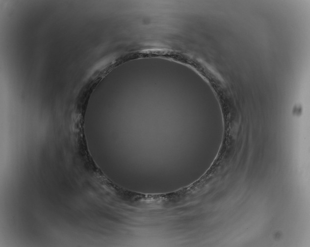 X0000103221351200808281357