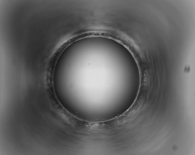 X0000103221352200808281357