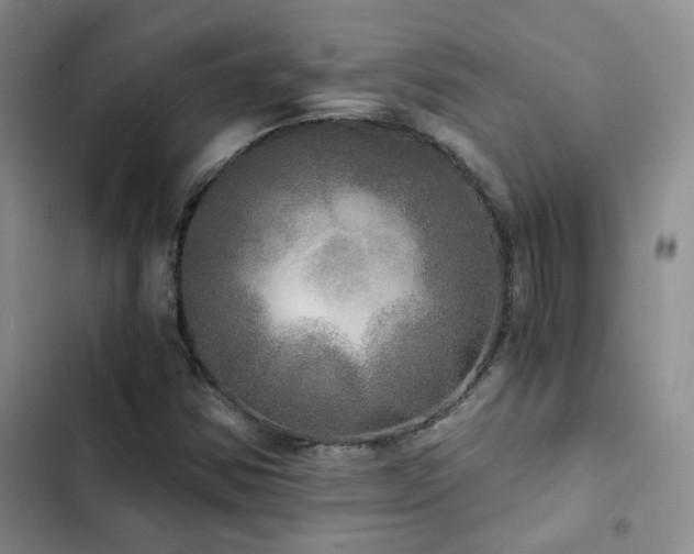 X0000103221354200808281357