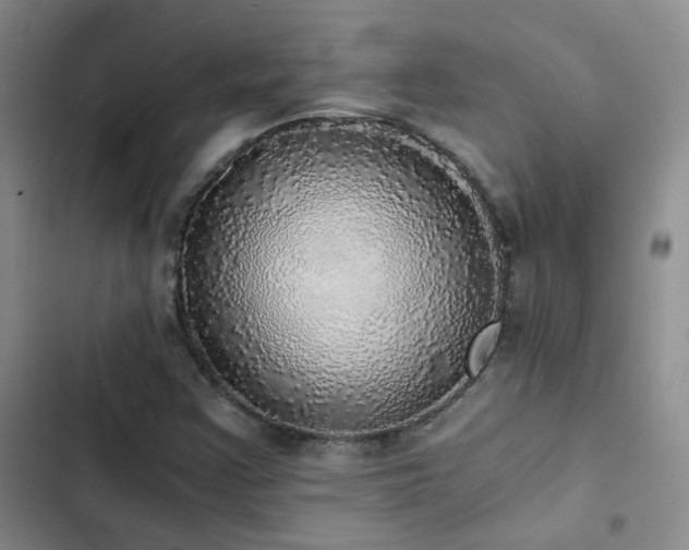X0000103221355200808281357