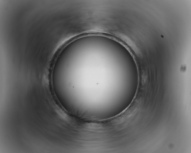 X0000103221356200808281357